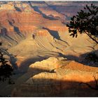 Grand Canyon # 11