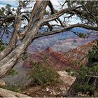 Grand Canyon 18