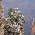 Grand Canyon 2