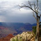 Grand Canyon 2