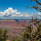 Grand Canyon (2)