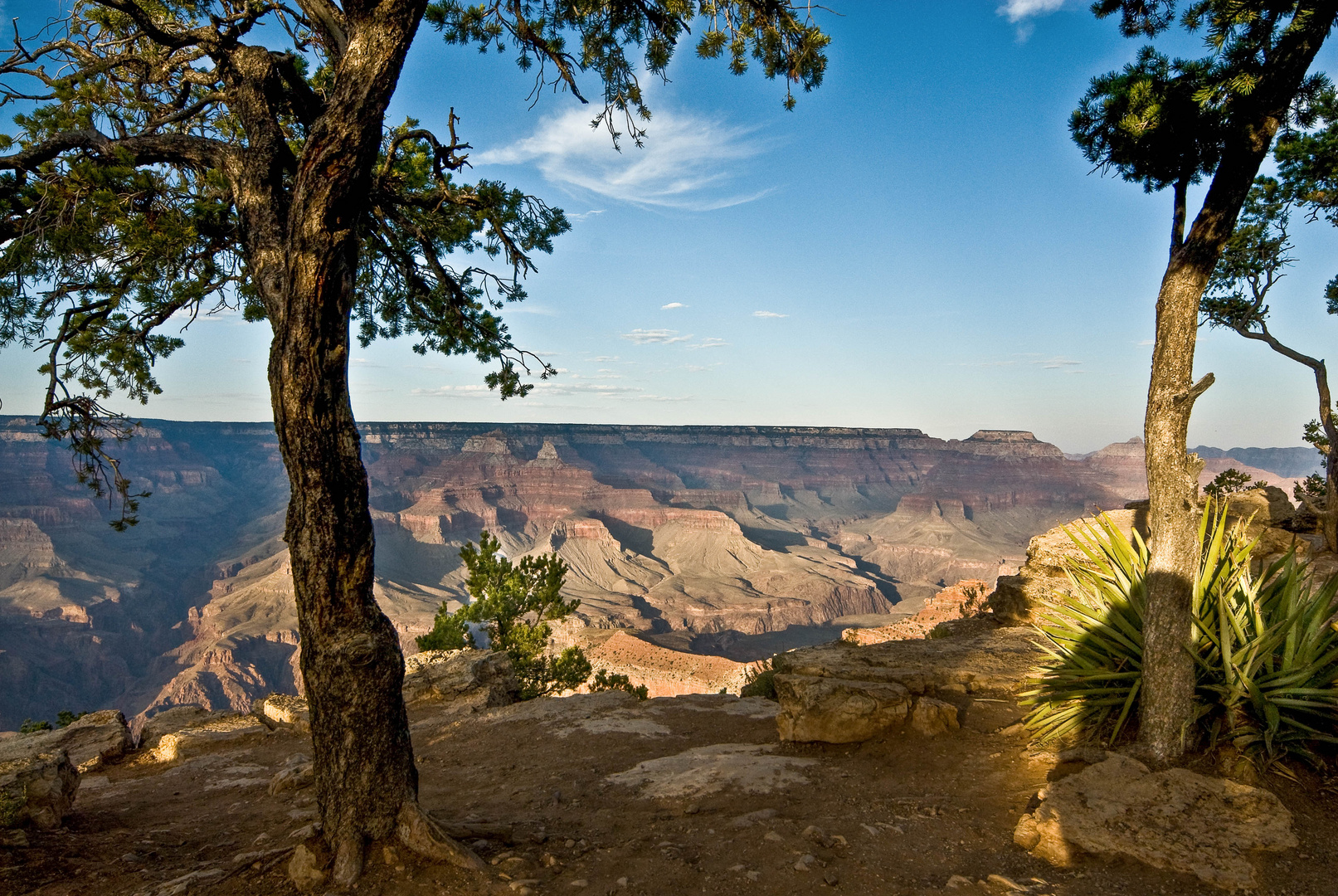 Grand Canyon  2