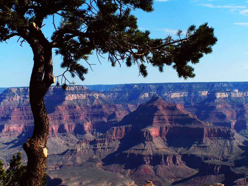 Grand Canyon 2006_2