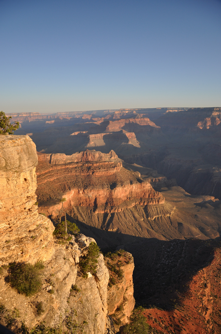 Grand Canyon - 2010