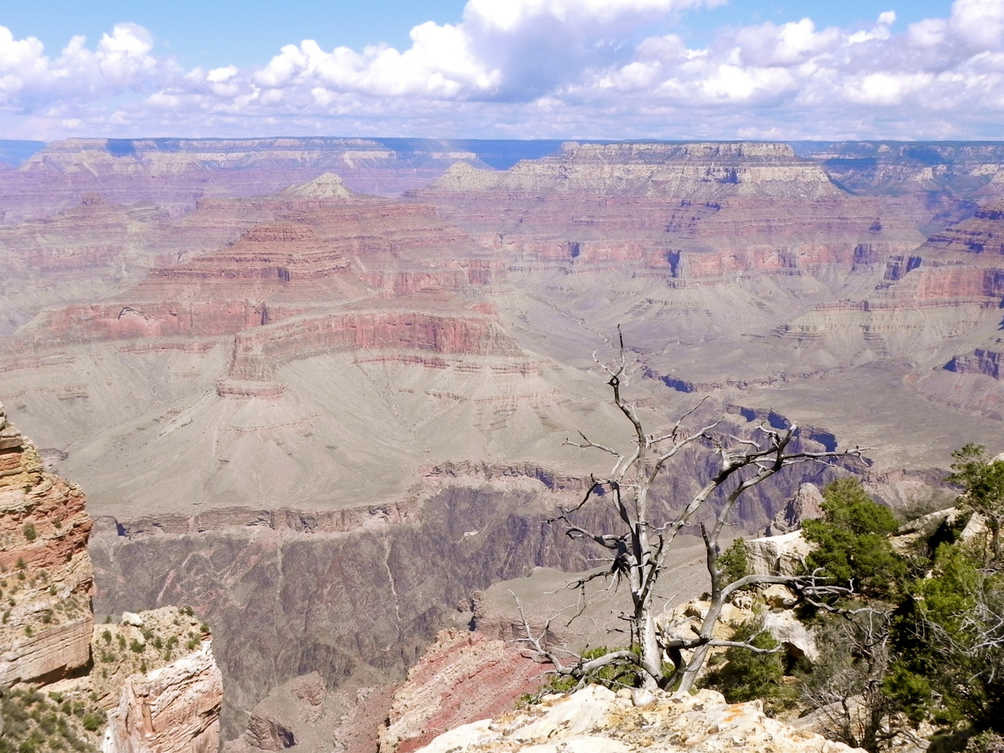 grand canyon 2011