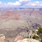 grand canyon 2011