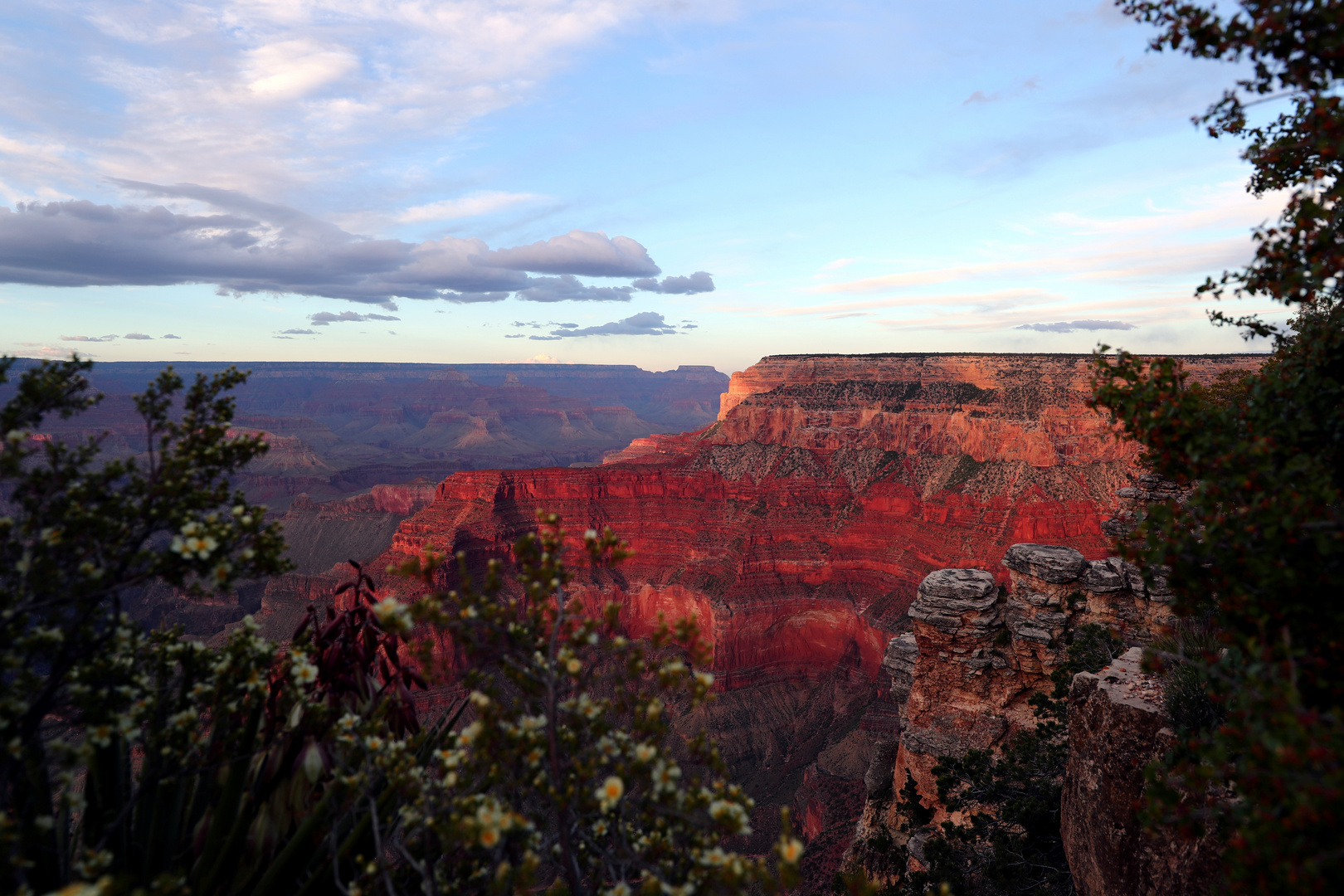 Grand Canyon 2017