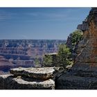 Grand Canyon 3