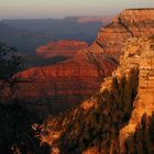 Grand Canyon 3