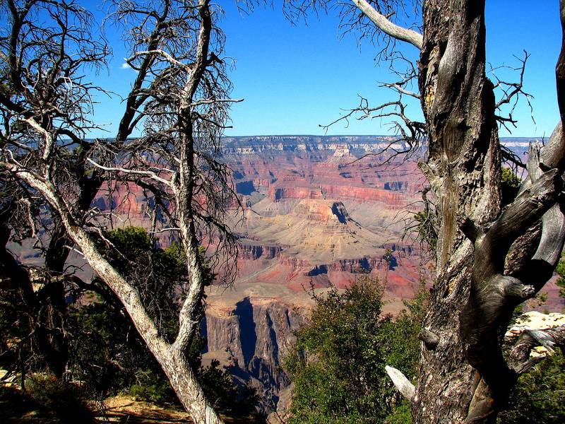 Grand Canyon 3