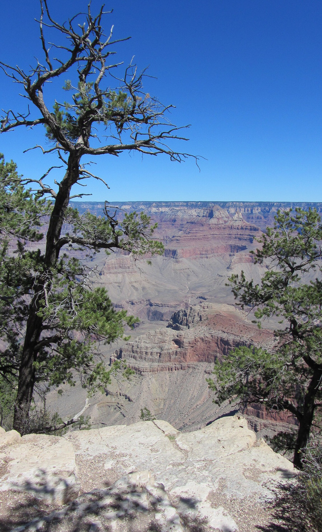 Grand Canyon