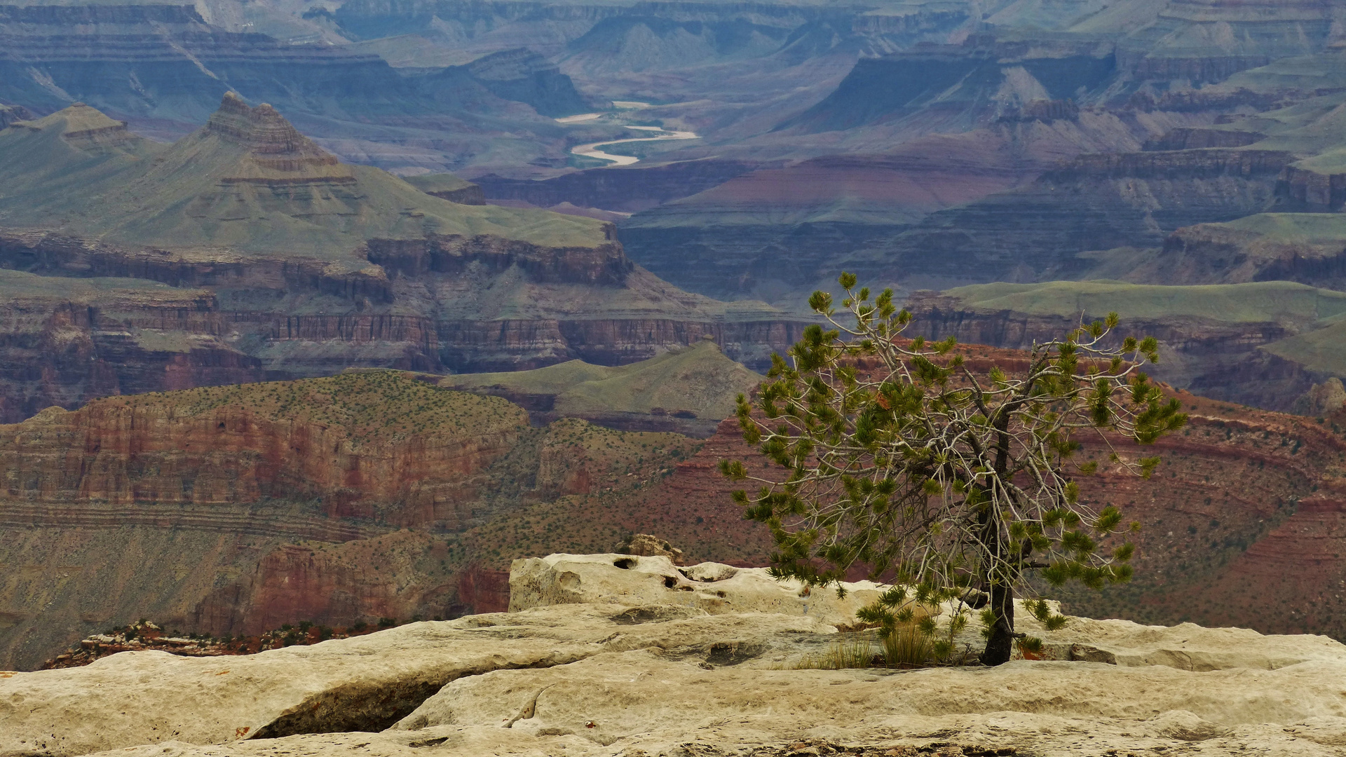 ...Grand Canyon...