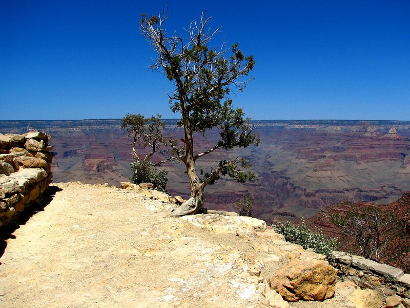 Grand Canyon 4