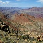 Grand Canyon 5