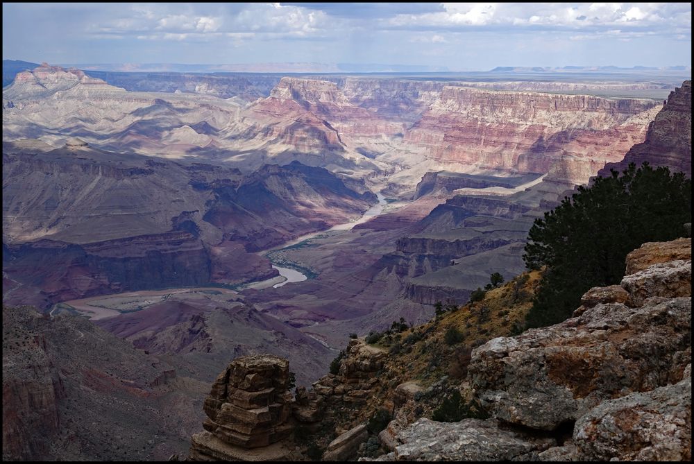 GRAND CANYON