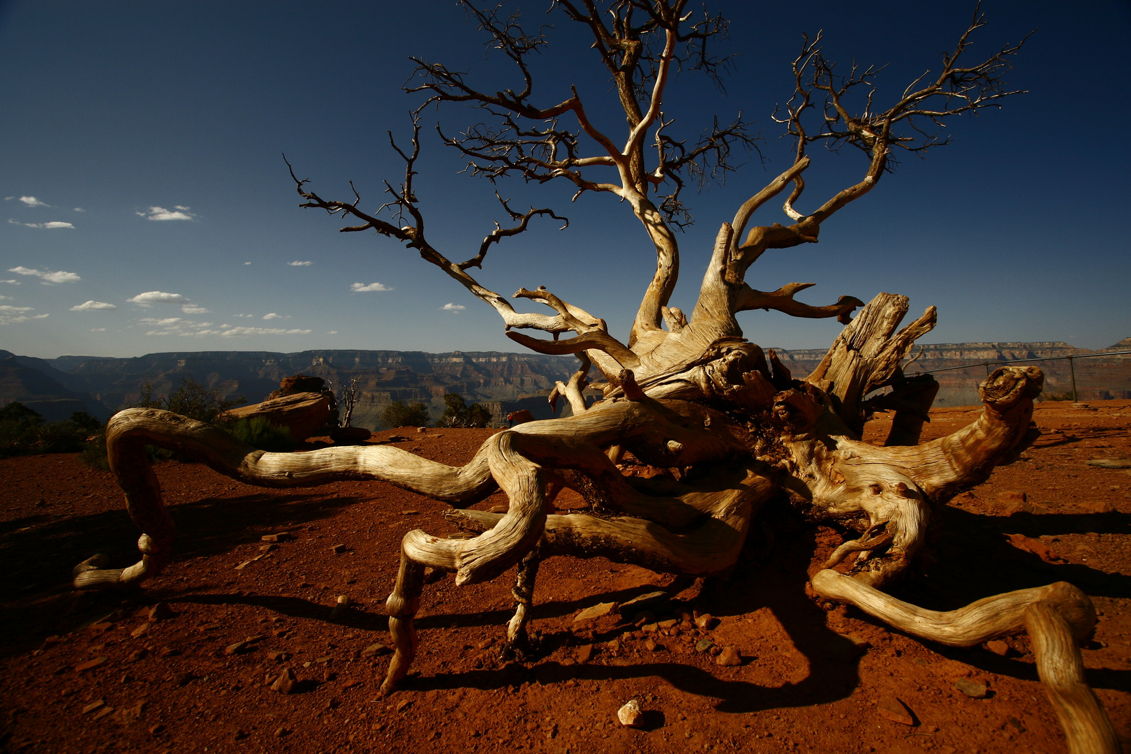 grand canyon