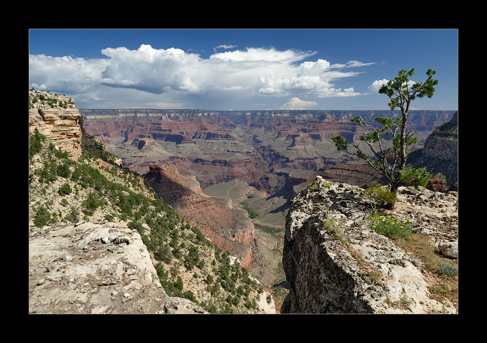 [ Grand Canyon ]