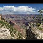 [ Grand Canyon ]