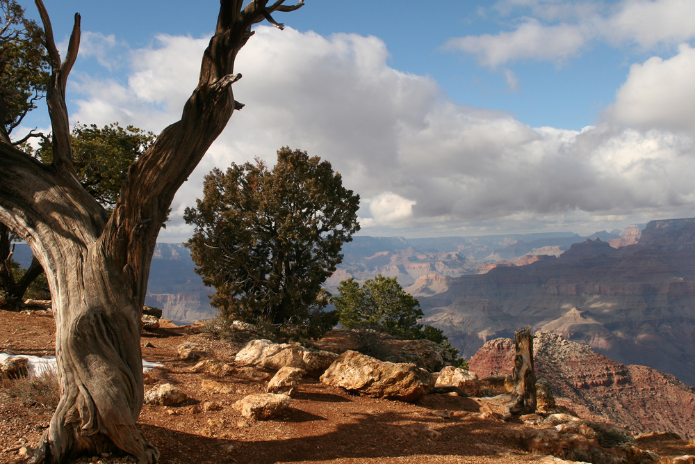 Grand Canyon