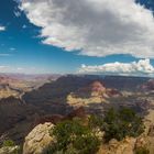 Grand Canyon 7