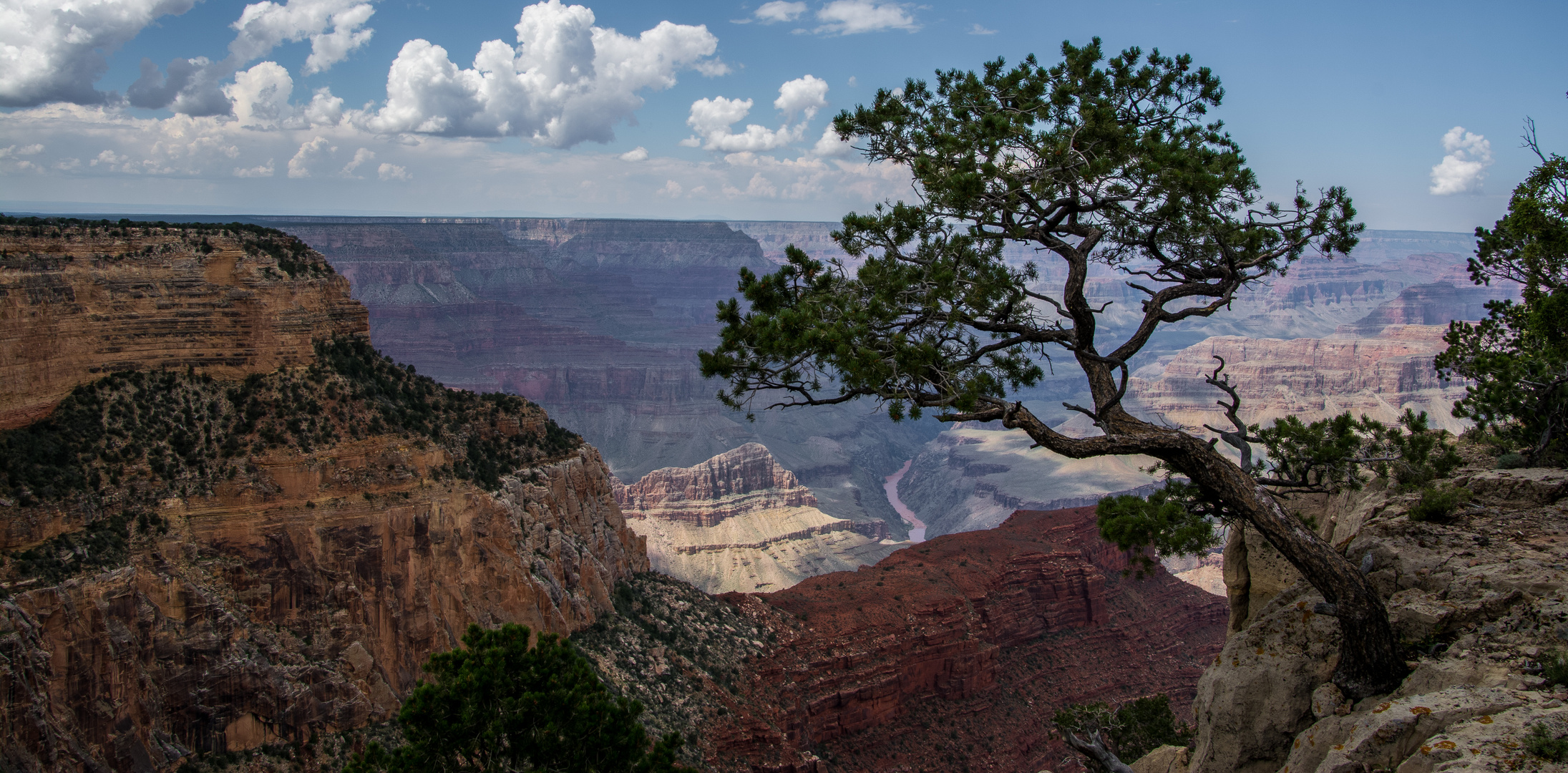 Grand Canyon 8