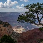 Grand Canyon 8