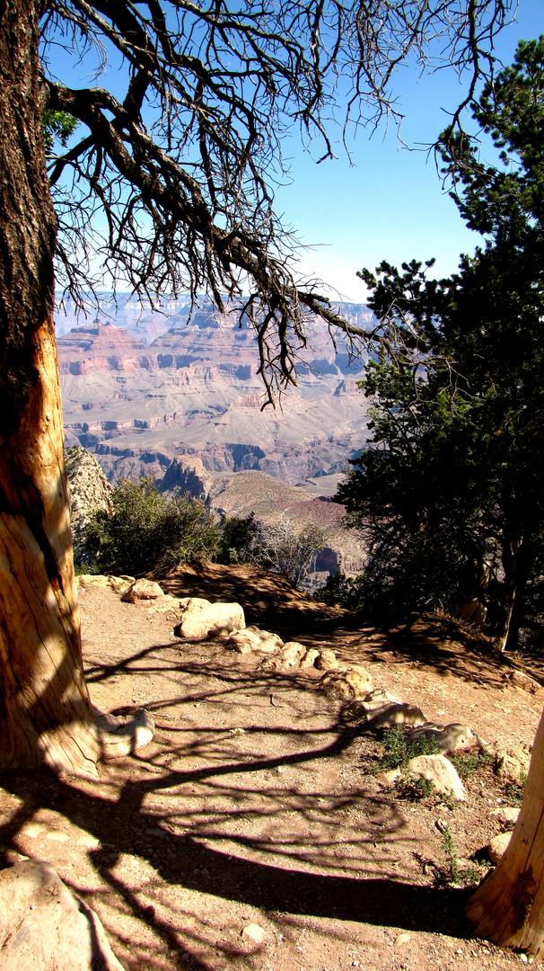 Grand Canyon