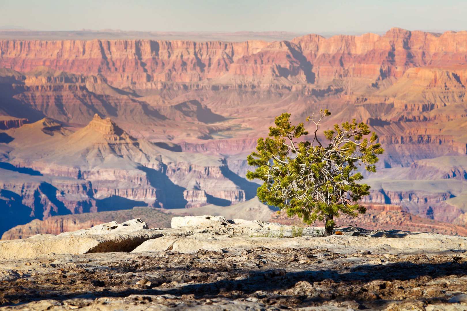 Grand Canyon