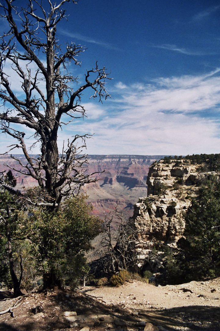 Grand Canyon