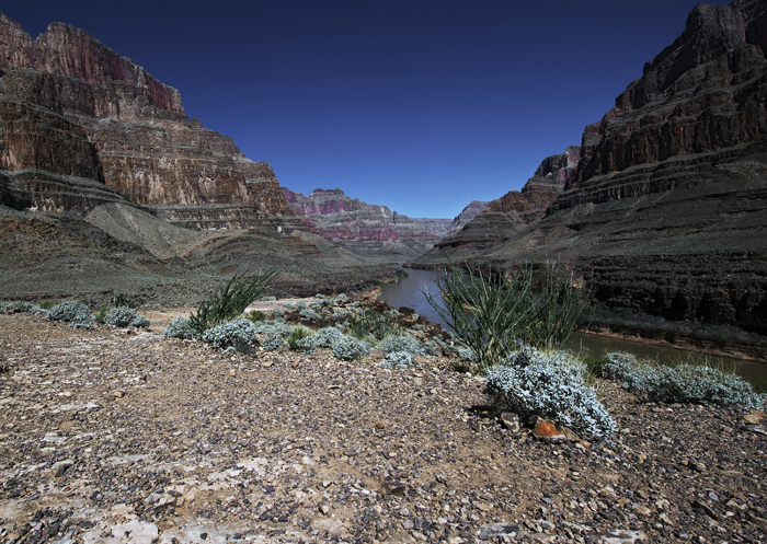 GRAND CANYON - 9