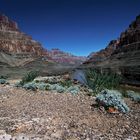 GRAND CANYON - 9