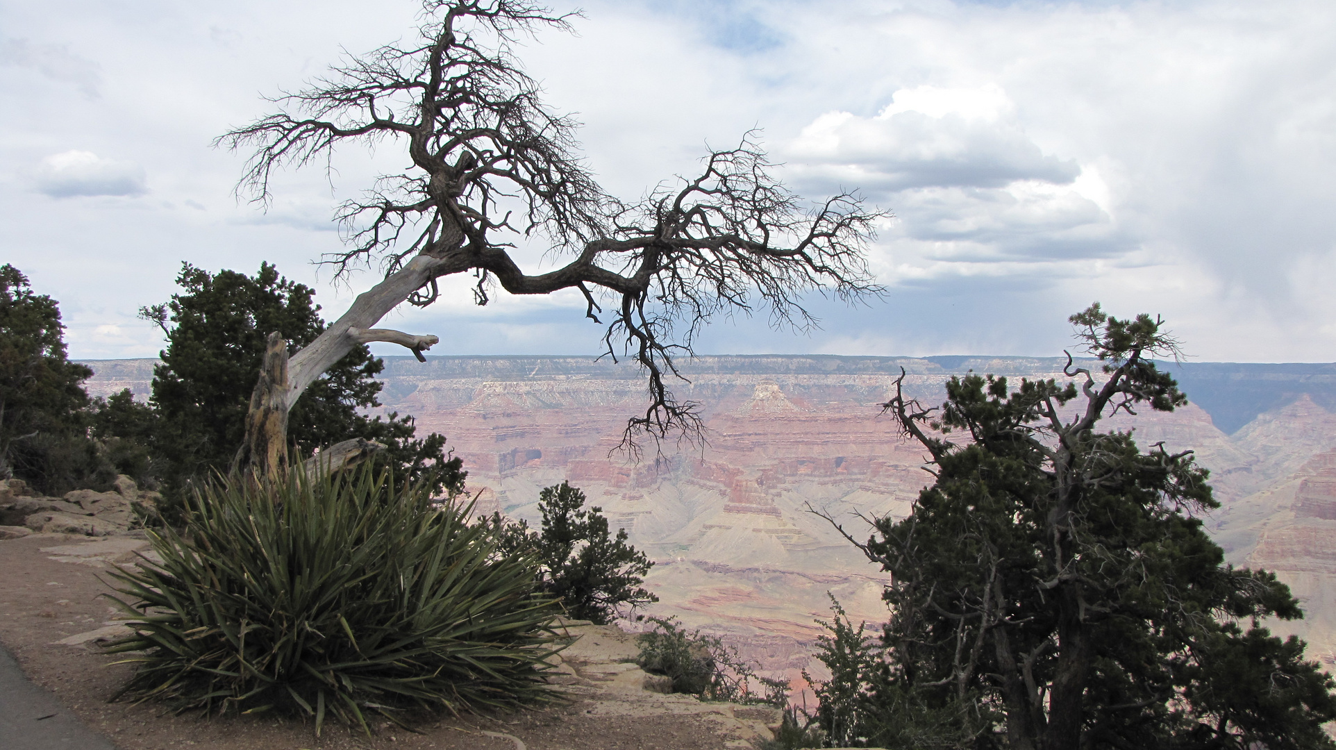 Grand Canyon