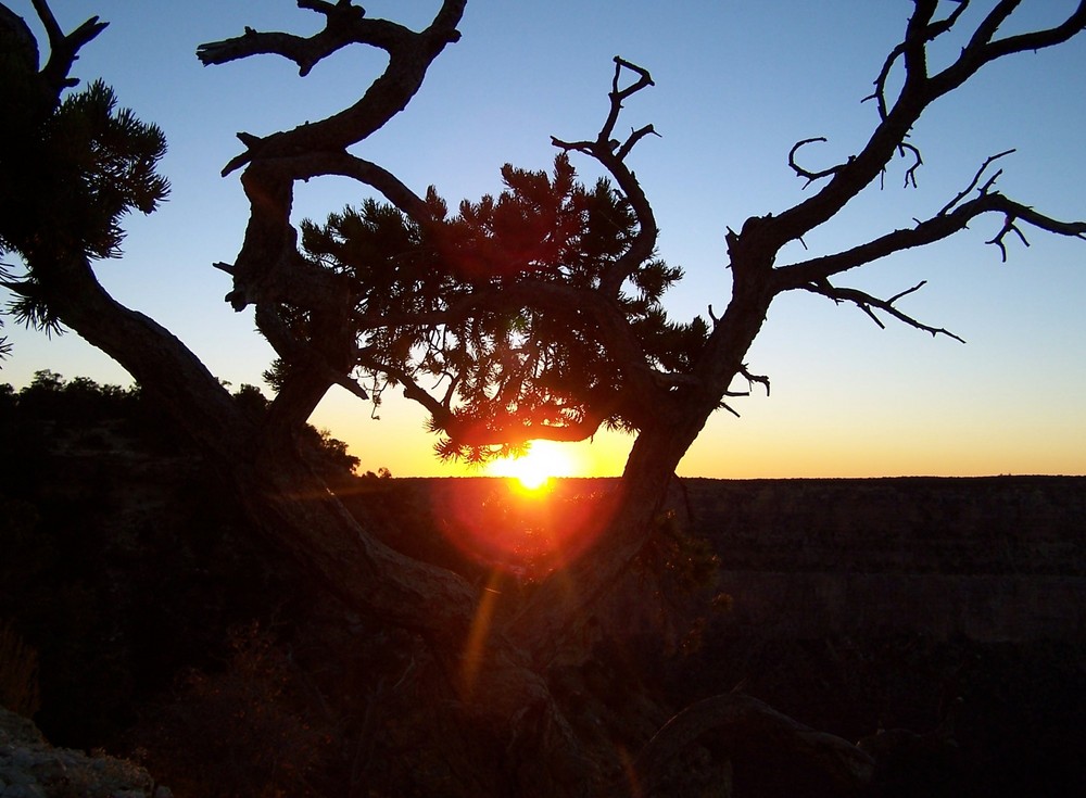 Grand Canyon