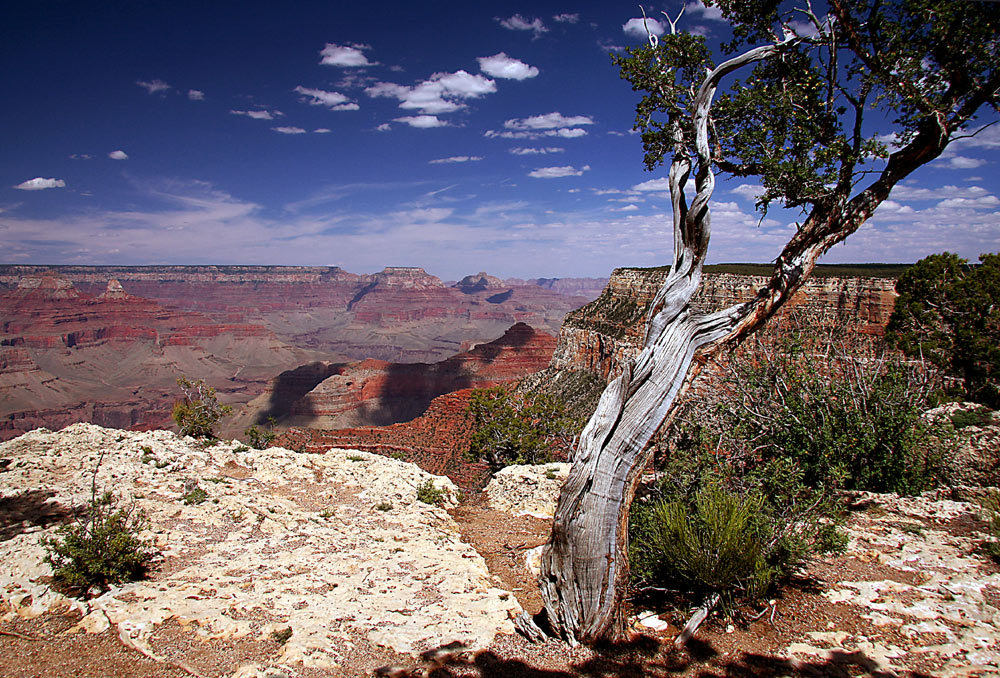 Grand Canyon