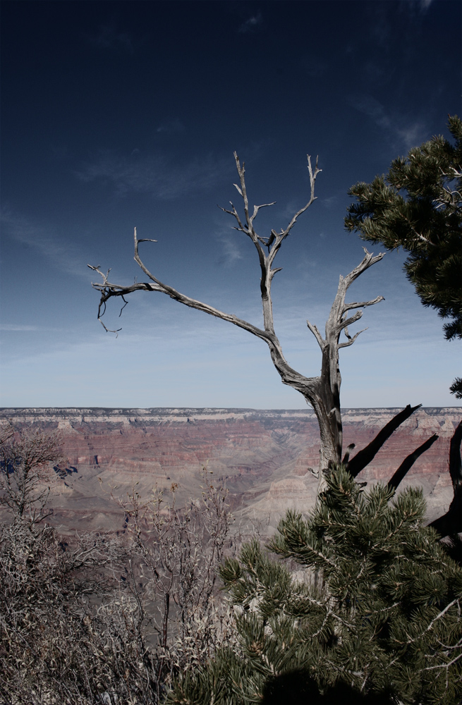 Grand Canyon