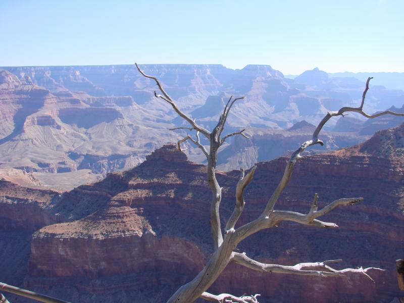 Grand Canyon