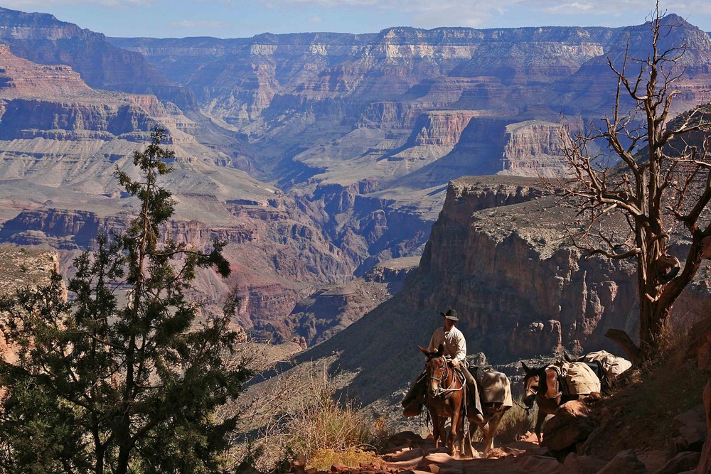 Grand Canyon