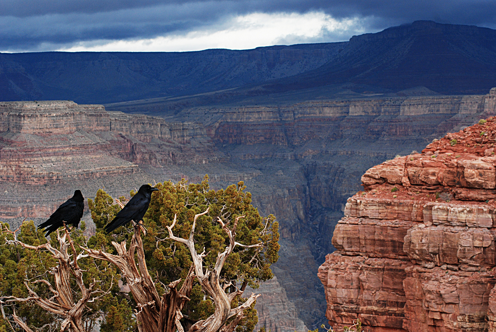 Grand Canyon, Arizona