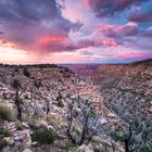 Grand Canyon - Arizona