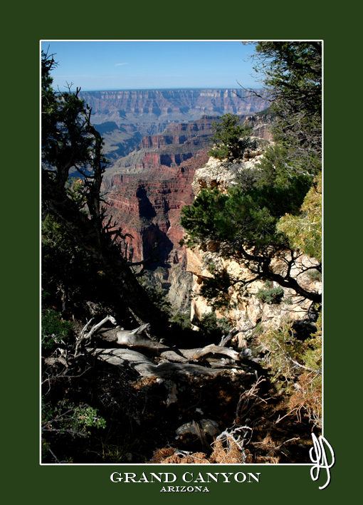 Grand Canyon Arizona USA