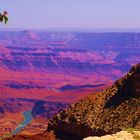 Grand Canyon avec dans le creux, la rivière Colorado....