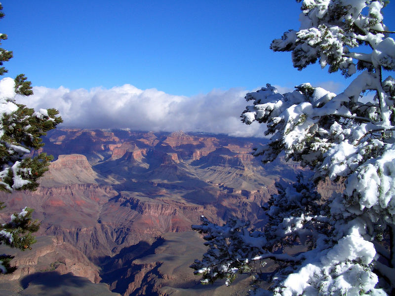 ...Grand Canyon