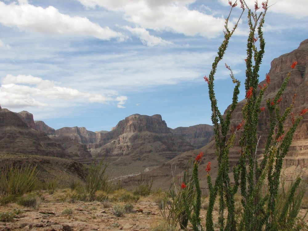 Grand Canyon