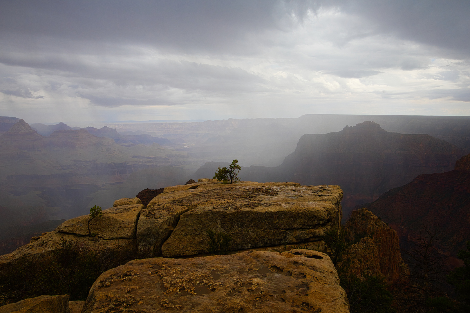 Grand canyon