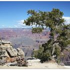 Grand Canyon Baum I