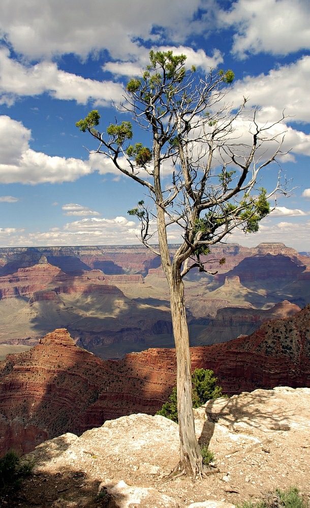 Grand Canyon