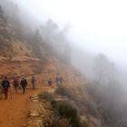 Grand Canyon - Bright Angel trail II.