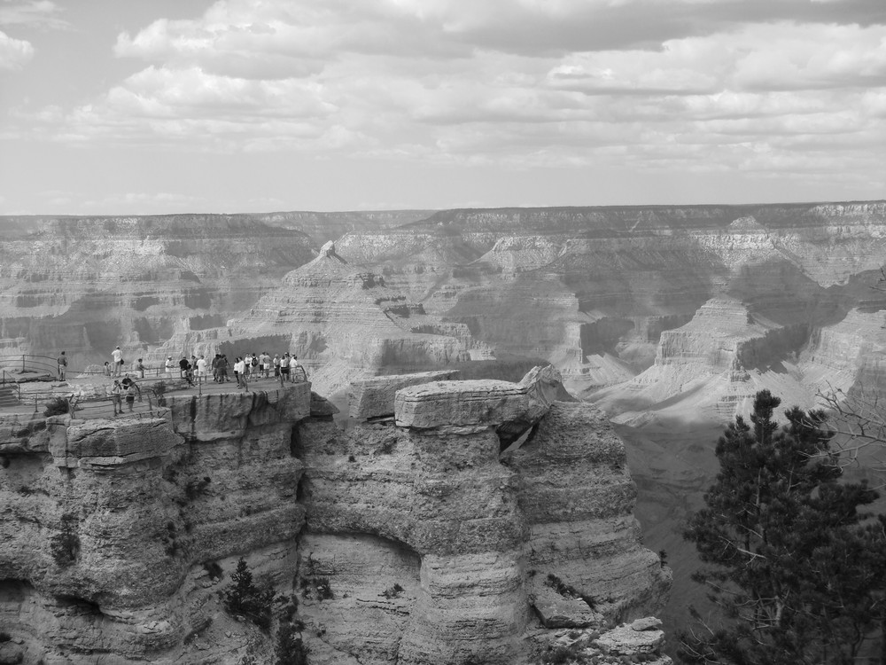 Grand Canyon B&W