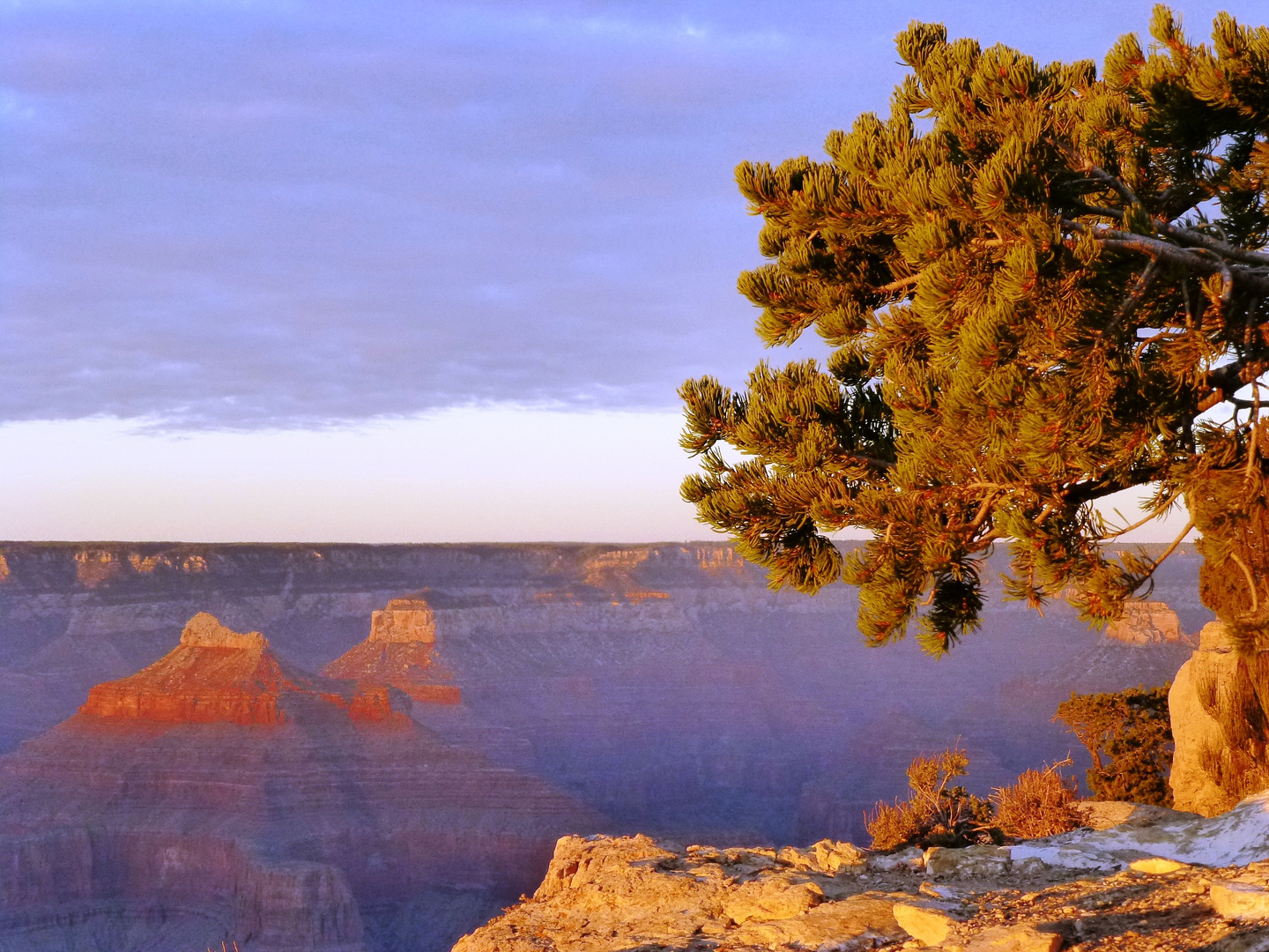 Grand Canyon