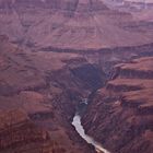 Grand Canyon, Colorado River